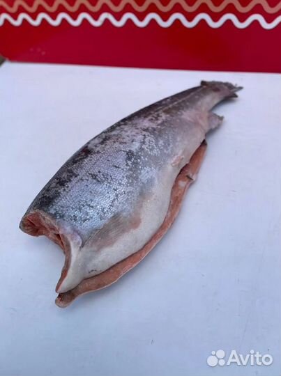 Форель Турция с/м пбг