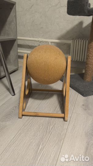 Когтеточка