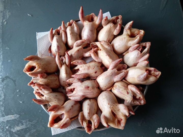 Продукты питания