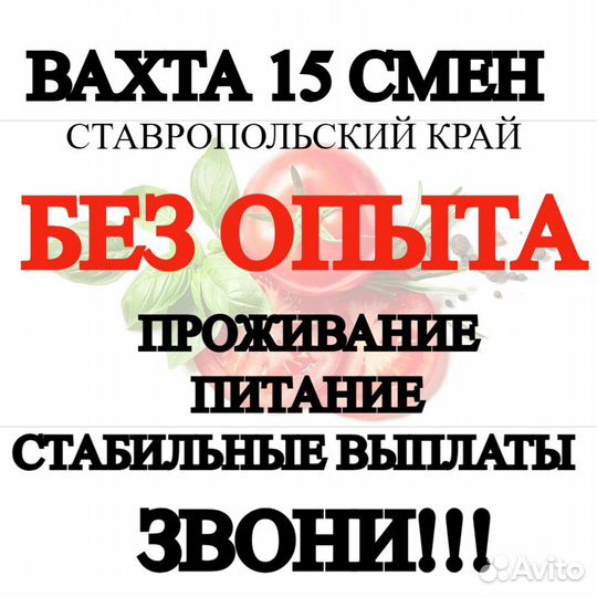 Вахта 15 15 рабочий в теплицу проживание/питание