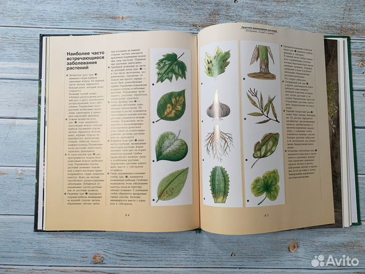 Книги по комнатным цветам