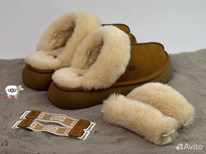 Угги тапочки женские Ugg Slippers Disquette