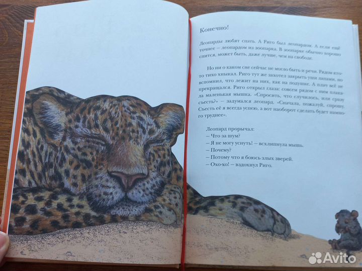 Рига и Роза