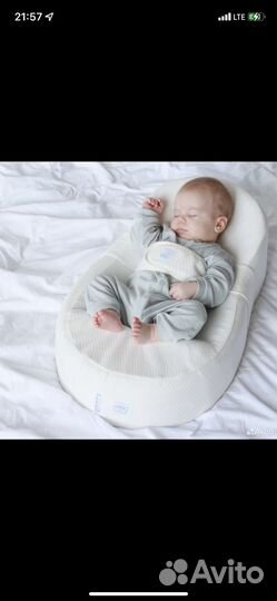 Кокон зевушка