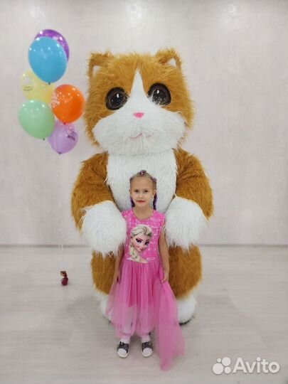 Поздравление. Ростовая кукла. Котик. мишка