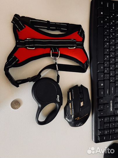 Поводок рулетка, шлейка