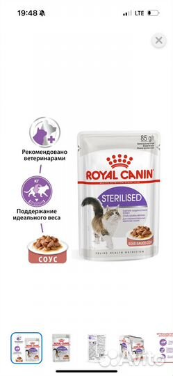 Корм для кошек royal canin