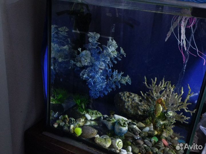 Аквариум