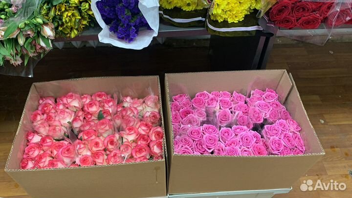 Цветы оптом