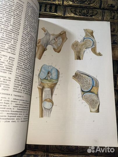1962 Малый Анатомический Атлас (из Польши)