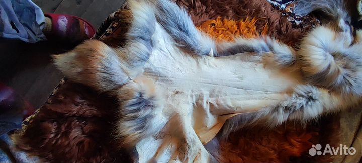 Шкурка животного Лиса