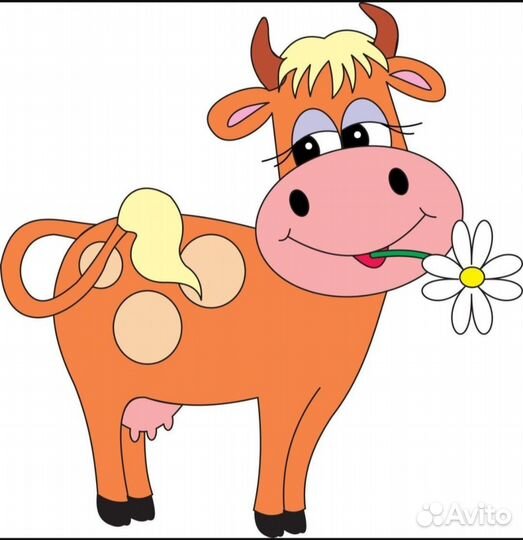 Корова дойная