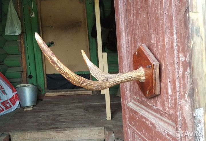 Рога Лося Оленя Вешалка