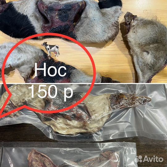 Лакомства для собак