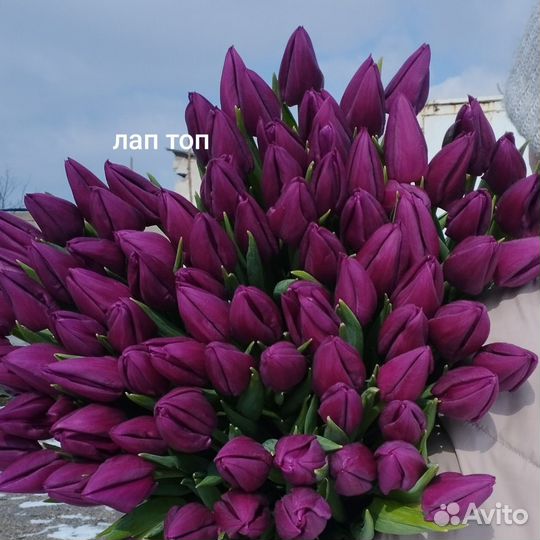 Букет тюльпанов к 8 марта