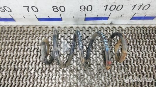 Пружина задняя nissan qashqai J10 (OML21LY01)