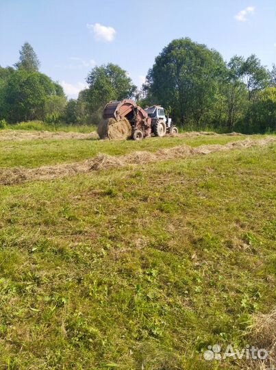 Сено в рулонах. доставки нет. самовывоз