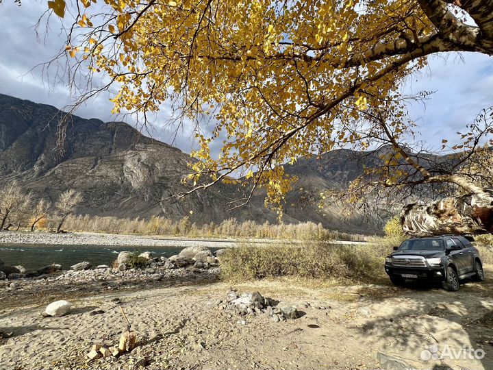 Уникальное путешествие по Алтаю, Монголии