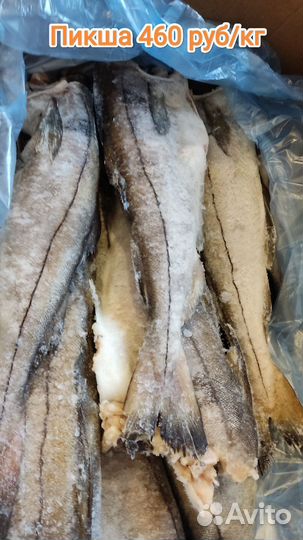 Рыбная продукция