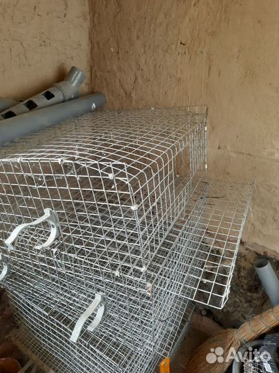 Клетки для перепелов