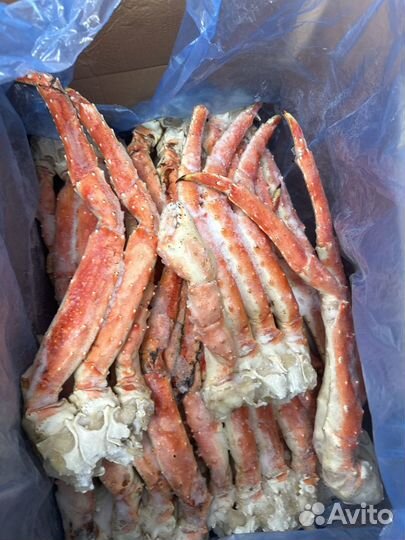 Краб Камчатский 2024