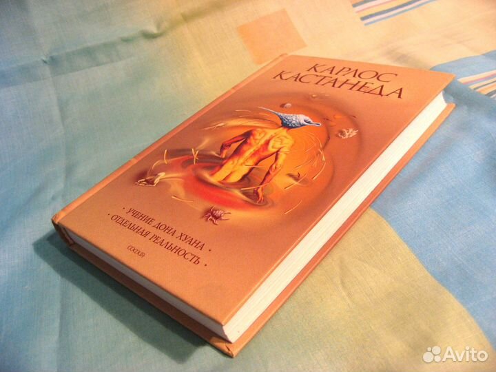 Книга Карлос Кастанеда Учение Дона Хуана
