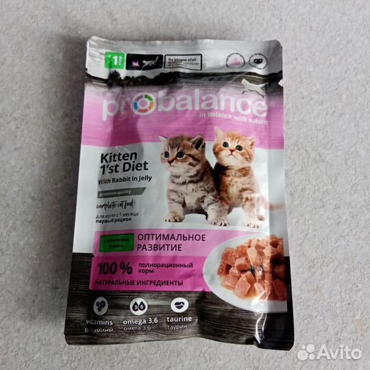 Влажный корм для котят