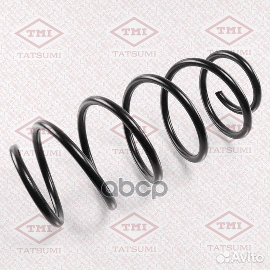 Пружина перед tatsumi 650 P54052, 2482701