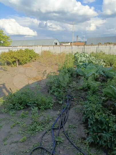 Дом 62 м² на участке 14 сот.