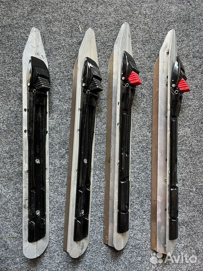 Озерные коньки