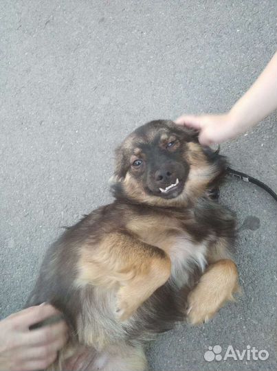 Маленькая Эля