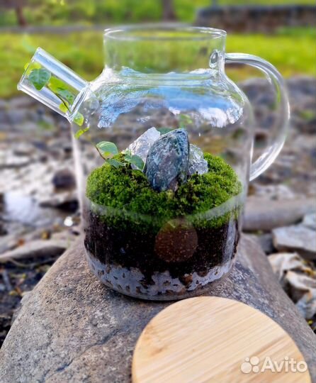 Флорариум Медитация/Зеленый чай