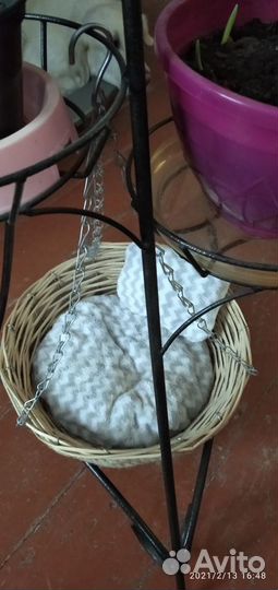 Когтеточка, игрушка