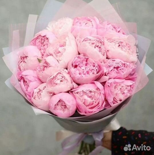 Пионы Букеты Цветы Доставка