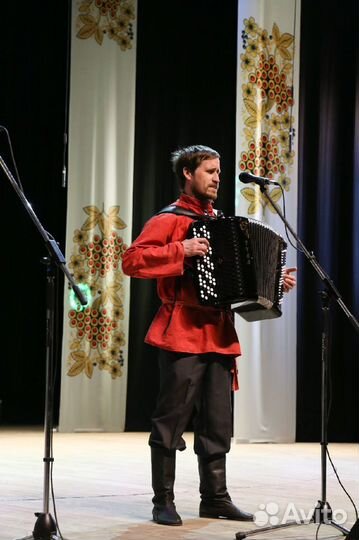 Баянист на праздник