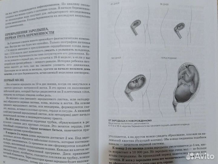 Ваш ребёнок растёт (Книга от зачатия до рождения и