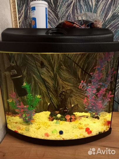 Аквариум