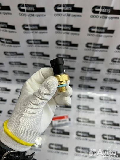 Датчик давления масла Cummins M11 N14 NTA855