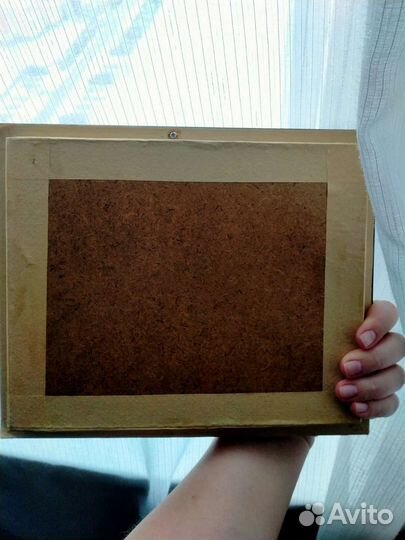 Бабочки в рамках