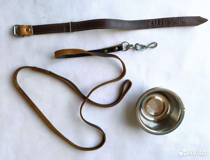 Поводок ошейник и миска для собаки