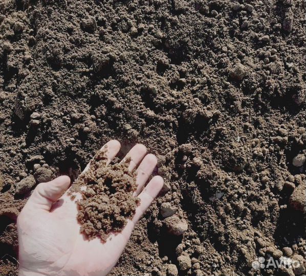 Чернозем, грунт без посредников