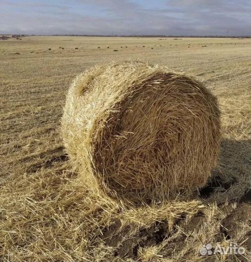 Солома в рулонах