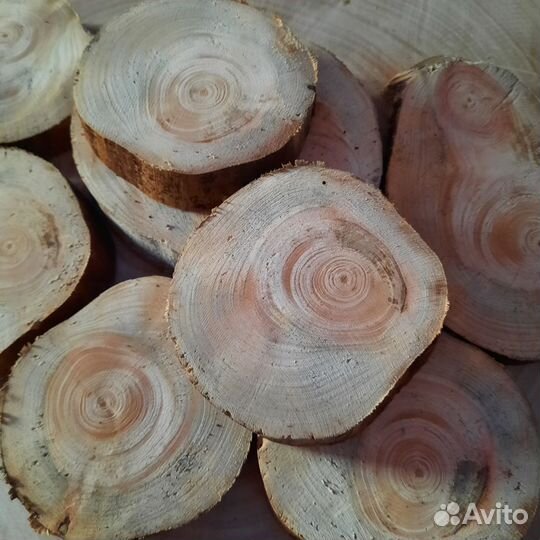 Спилы Кедра