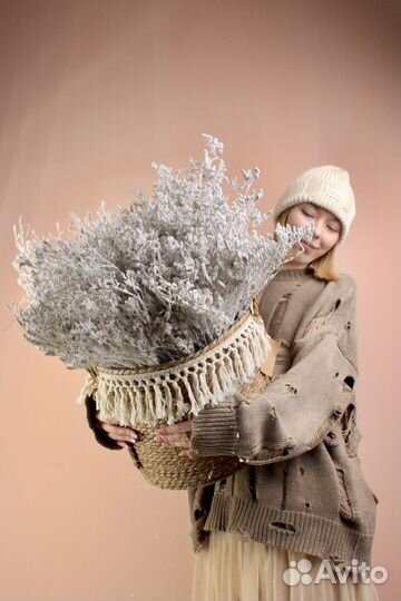 Заснеженный лимониум ветки, доставка круглосуточно