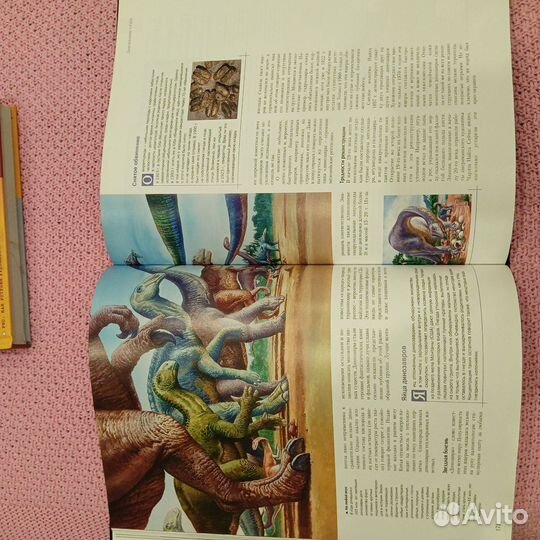 Иллюстрированный атлас эволюции