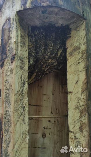 Колоды, бурзянский тип