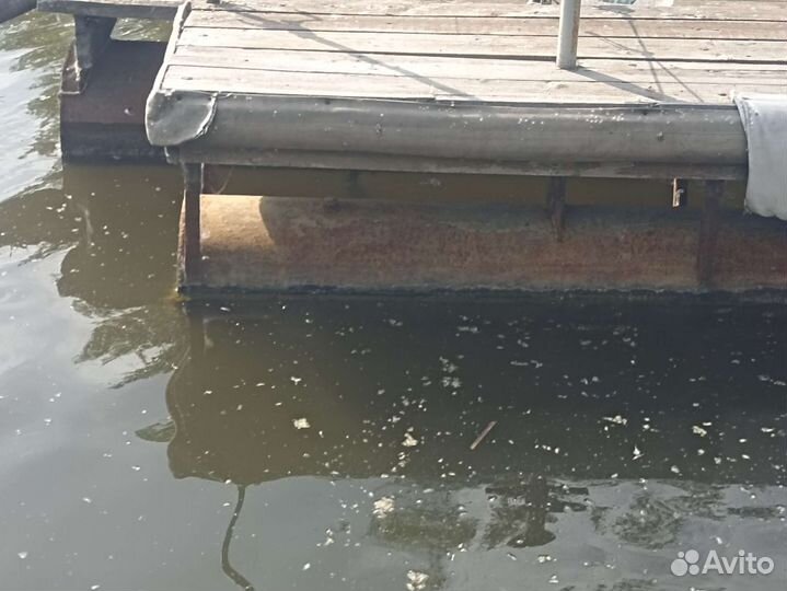 Паук -пантон