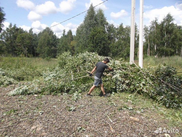 Расчистка участка Удаление деревьев, пней, веток