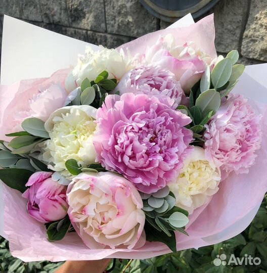 Пионы цветы букеты
