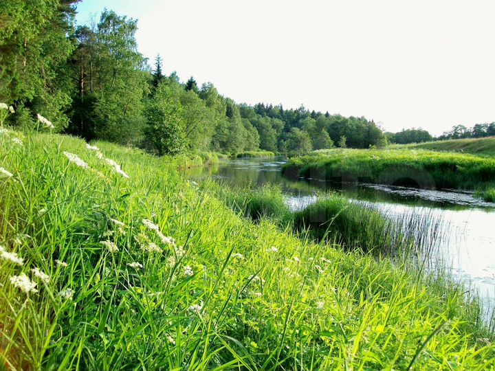 Участок 8,5 сот. (ИЖС)